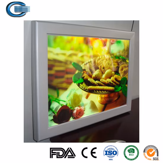Huasheng Commercio all'ingrosso LED Light Box Sign Outdoor LED Round Lightbox Negozio Scatole luminose pubblicitarie