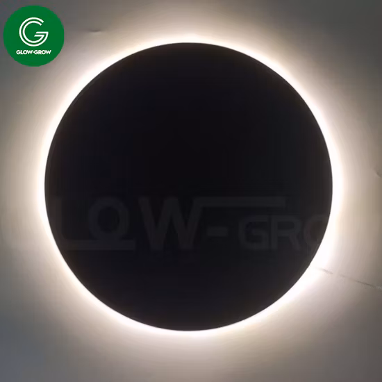 Fata luminosa a LED piatta con motivo a stella in legno da 30 cm con tabellone bianco per la decorazione natalizia del festival della casa per le vacanze di Natale